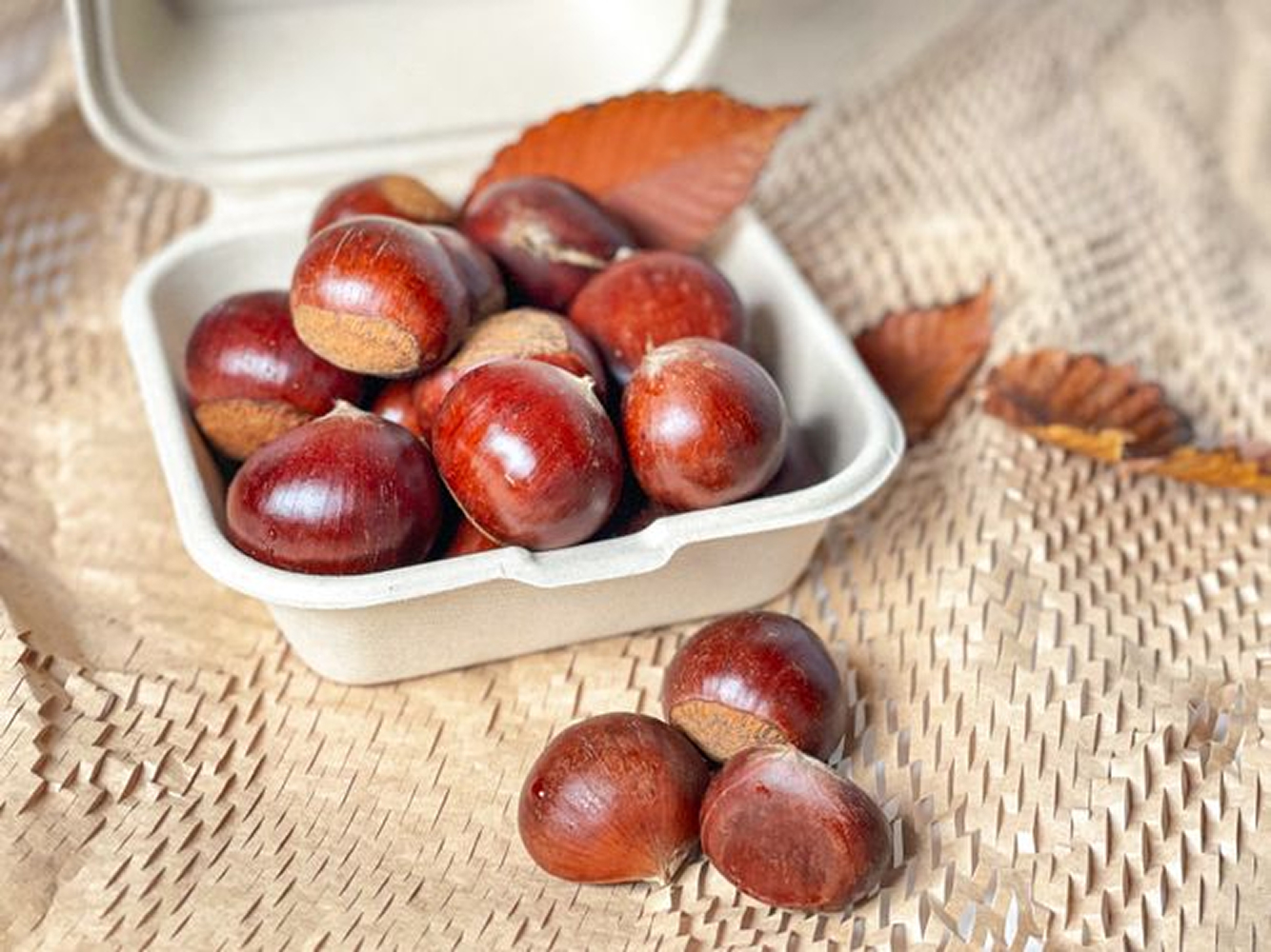 부여 밤 2kg - 어글리어스 | 밭에서 온 그대로, 늘 좋은 품질